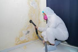 Why You Should Choose Our Mold Remediation Services in Shaker Heights, OH